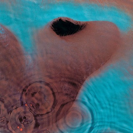 UK盤Reissue PINK FLOYED『MEDDLE』 Pink Floyd – Meddle – CD (Gatefold, Optimal Media GmbH, Album