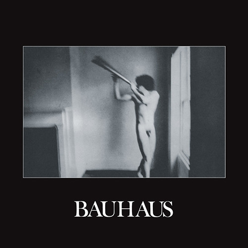 Bauhaus - In the Flat Field (Vinyl LP) * * *