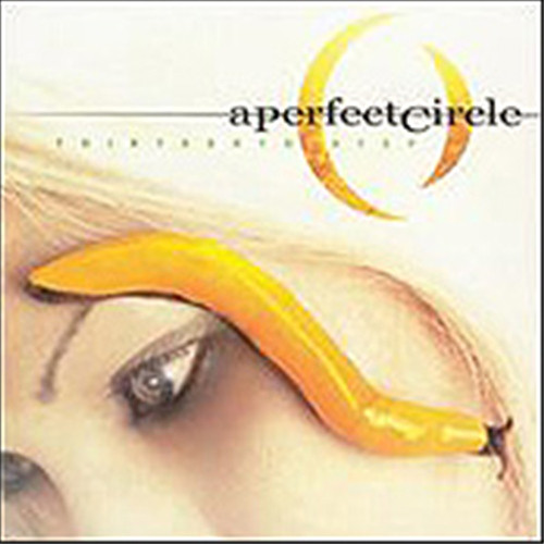 A Perfect Circle - Thirteenth Step (Vinyl 2LP) * * *