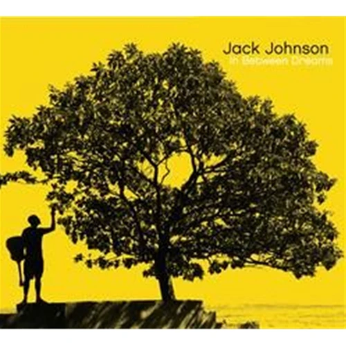 洋楽 Jack Johnson / In Between DUB / LP Jack Johnson's New Dub Album Cements Him as the Most Chill Man