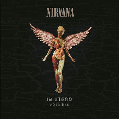 Nirvana - In Utero (2013 Mix) (180g 45RPM Vinyl 2LP) * * * - Music