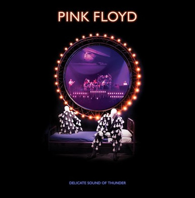 洋楽 PINK FLOYD / Delicate Sound of Thunder Pink Floyd Delicate Sound Of Thunder 180g 3LP