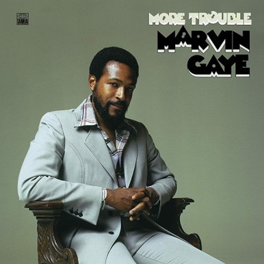 Marvin Gaye - Ladies Man 180gram LP Vinyl (Musicbank)
