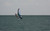Wing Boards