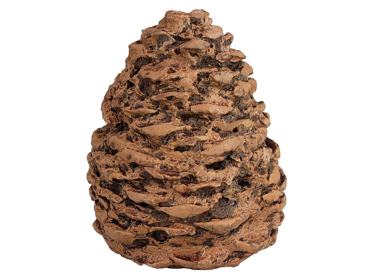 Large Rasmussen Pine Cone - Fat