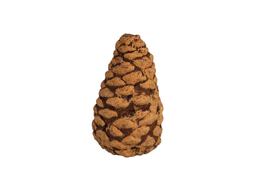Large Rasmussen Pine Cone - Tall