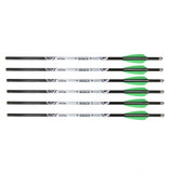 EVO-X CenterPunch Lighted Premium Arrow 16