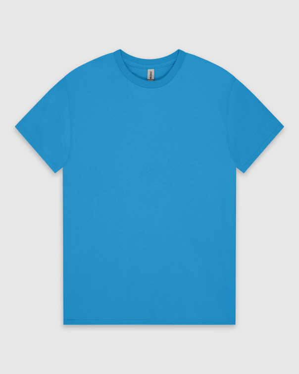 Gildan Men's Ultra Cotton T-Shirt, Style G2000, 2-Pack, Irish Green, Medium