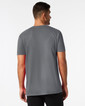 Adult T-Shirt 980 (Charcoal)