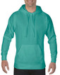 Adult Hooded Sweatshirt 1567 (Seafoam)
