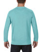 Adult Crewneck Sweatshirt 1566 (Ice Blue)