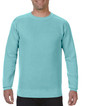 Adult Crewneck Sweatshirt 1566 (Ice Blue)