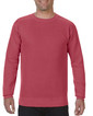 Adult Crewneck Sweatshirt 1566 (Crimson)