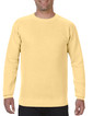 Adult Crewneck Sweatshirt 1566 (Butter)