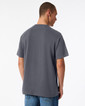 Adult T-Shirt 1301 (Charcoal)