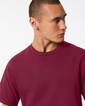 Adult T-Shirt 1301 (Burgundy)