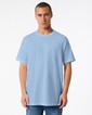 Adult T-Shirt 1301 (Powder Blue)