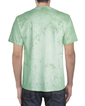 Adult ColorBlast T-Shirt 1745 (Fern)
