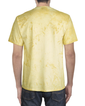 Adult ColorBlast T-Shirt 1745 (Citrine)