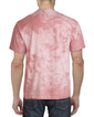 Adult ColorBlast T-Shirt 1745 (Clay)