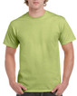 Adult T-Shirt 2000 (Pistachio)