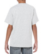 Youth T-Shirt 5000B (Ash Grey)