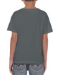 Youth T-Shirt 5000B (Charcoal)