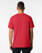 Adult T-Shirt 5000 (Red)