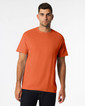 Adult T-Shirt 5000 (Antique Orange)