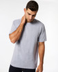 Adult T-Shirt 65000 (SPORT GREY)