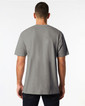 Adult T-Shirt 65000 (Graphite Heather)