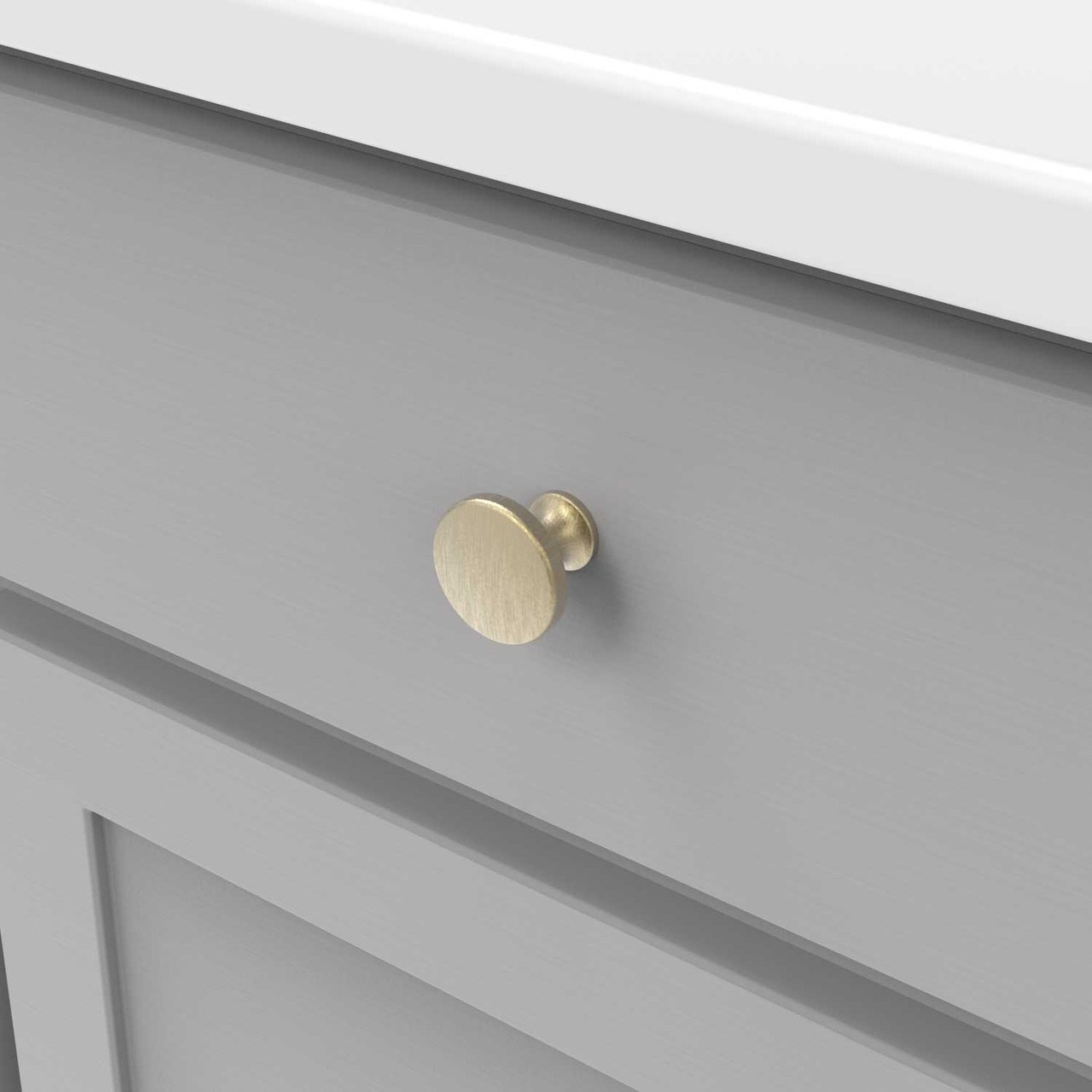 Hickory Forge Champagne Bronze Cabinet Knob at The Knob Shop