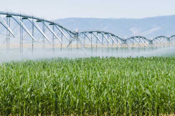 Pivot Irrigation