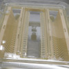 Shin-Etsu MW300G-A FOSB Clear 300mm/25 Capacity Wafer Shipper w/MW300G-C Top
