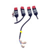 Omron D4GS-N4R Industrial Panel-Mount Limit Switches 240VAC (4) w/ Key