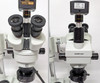 AmScope SM Trinocular Stereo Zoom Microscope 10MP Camera/Fiber Light/Boom Stand