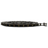 Regina Extra Single Strand Roller Chain 1" Pitch 200" Length