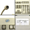 VINTAGE IBM by Lexmark 71G4644 Model M PS2 Wired Keyboard TESTED