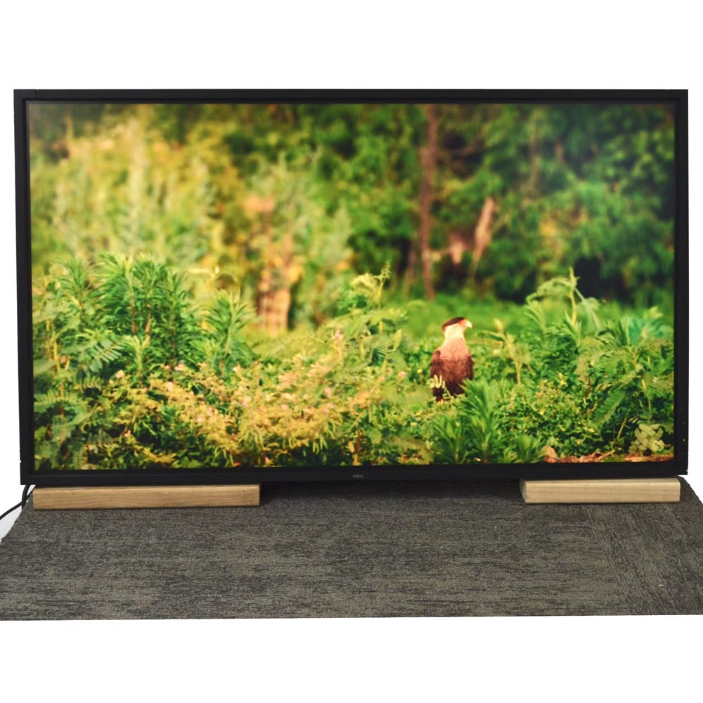 NEC MultiSync P521 52