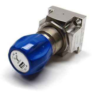 Manual diaphragm valve with blue handle