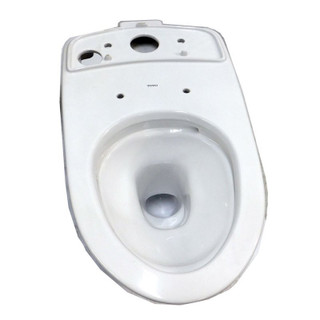 White elongated toilet bowl