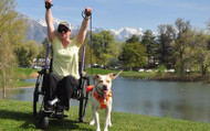 Tips and Tricks for Walking a Dog From a Wheelchair Tips and Tricks for Walking a Dog From a Wheelchair