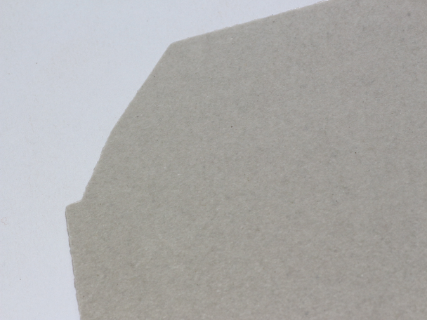 Panasonic Waveguide Cover Mica For Microwave Ovens Z20556W50XP Fits Many Models 