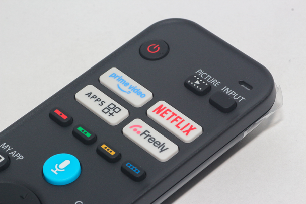 Panasonic RC44256 Genuine Smart Television Voice Remote Control With Netflix