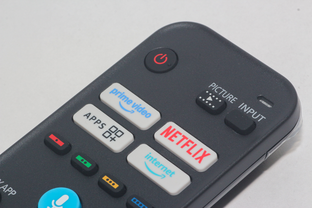 Panasonic RC44255 Genuine Smart Television Voice Remote Control With Netflix
