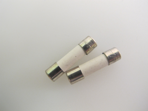 T10A 20mm Ceramic Microwave Fuse x 2