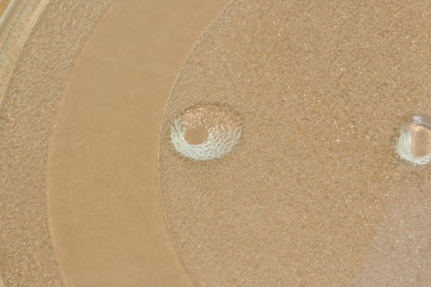 Panasonic Z06015Q00AP Glass Tray For Microwave Oven, Fits NNA574, NNA524 & More