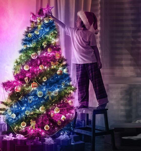 LED String lights - Unique Christmas decoration zaxx