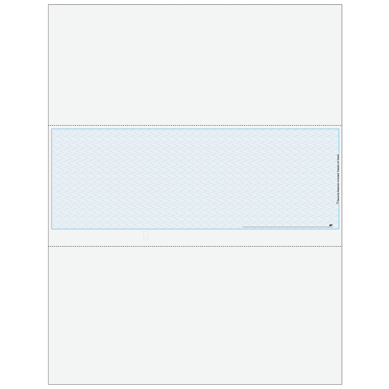 blank business check template