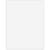 70016 - Blank Statement Paper (Perf at 3 1/2")